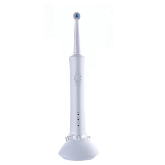 Customizable OEM&ODM Round Toothbrush Head Ipx7 Waterproof Electric Rotary Toothbrush